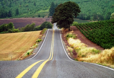 This photo of beautiful roadside scenery in Oregon reminds us that often the best getaway is often the "day trip" ... simply get in the car and go where the road leads ... whether you're in your own backyard or on holiday.  Photo by Renaude Hatsedakis of Salem, Oregon.